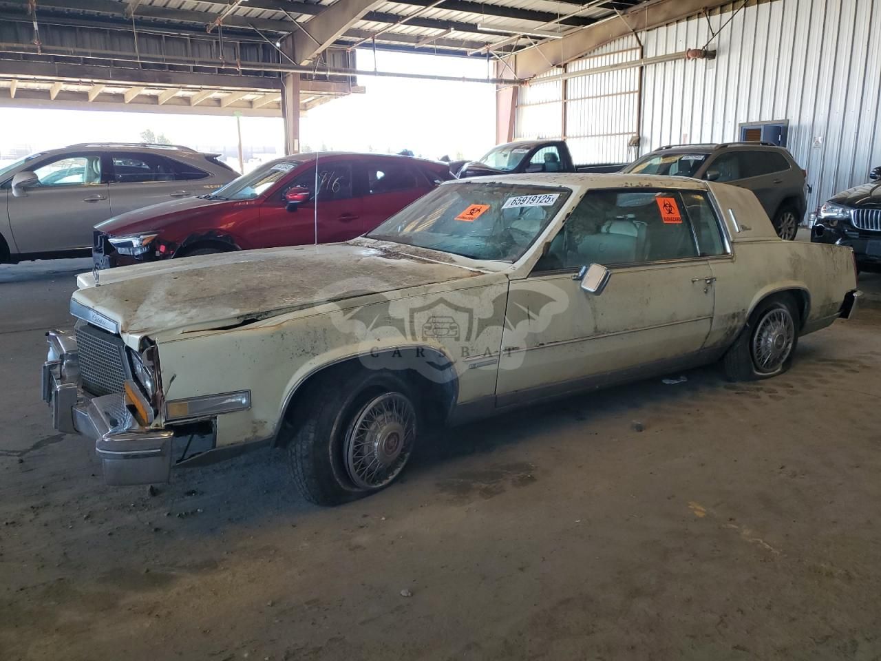 Cadillac Eldorado 6.0L 8 1981