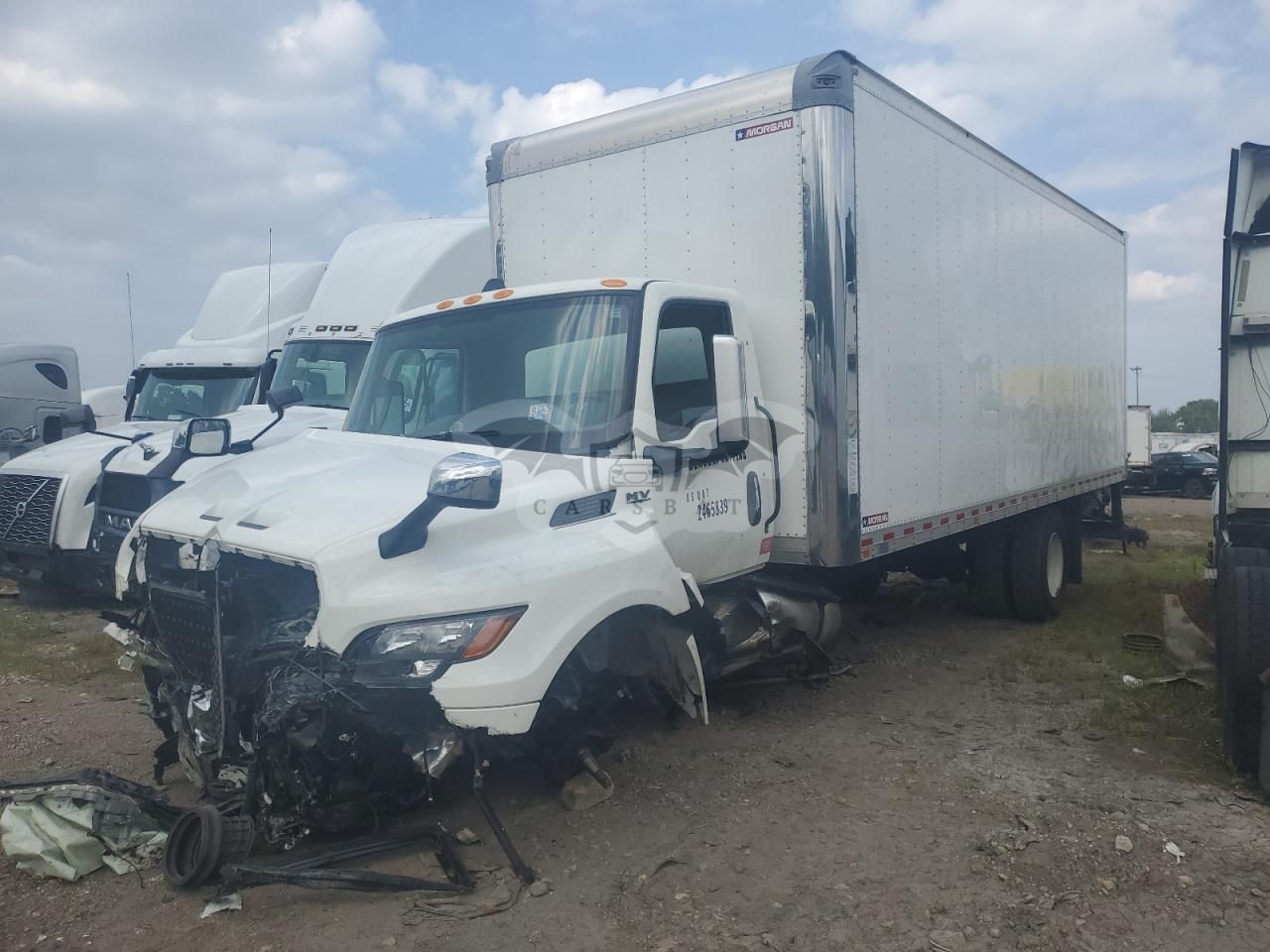 International MV Series 6.7L 6 2024