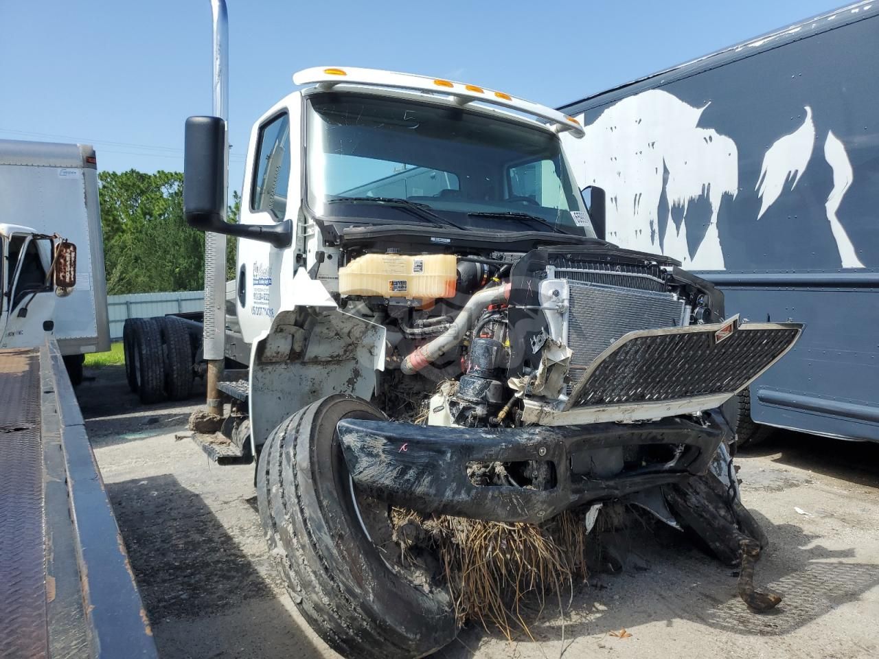 International MV Series 8.9L 6 2025