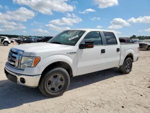 Ford F-150 SUPERCREW 5.0L 8 2012