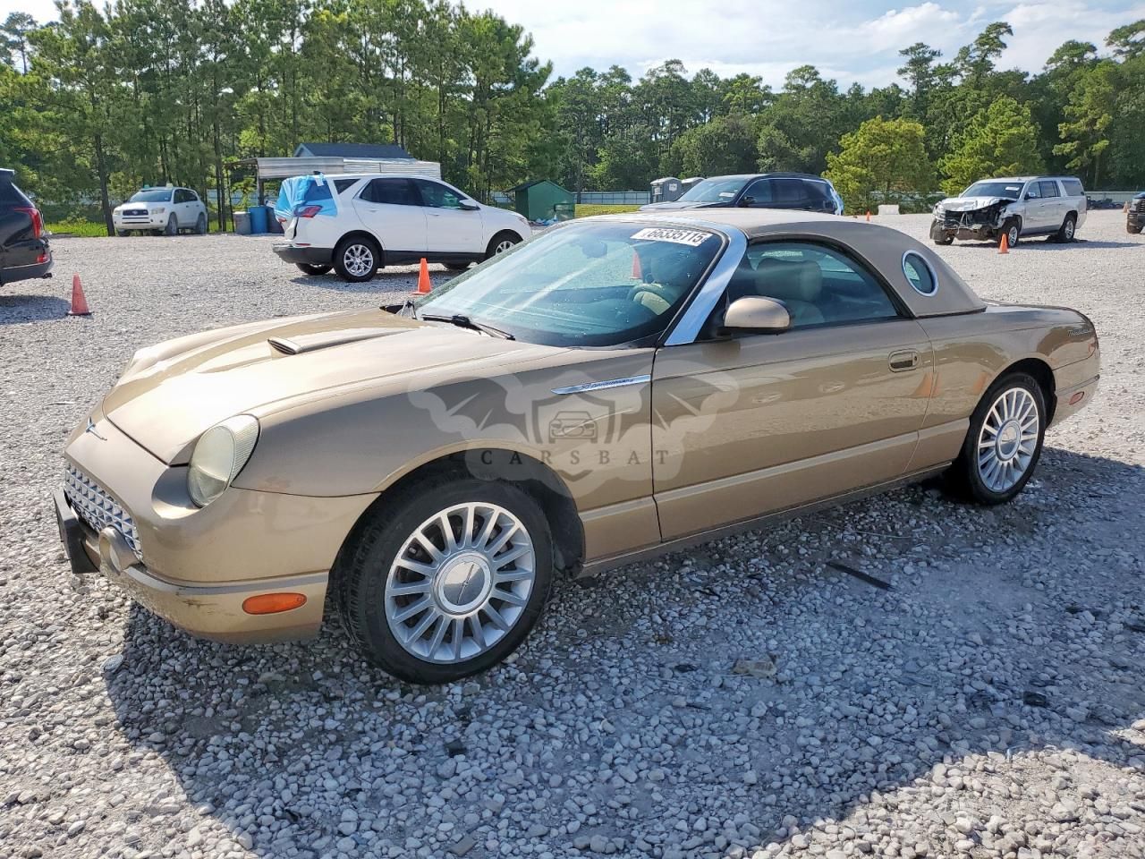 Ford Thunderbird 3.9L 8 2005