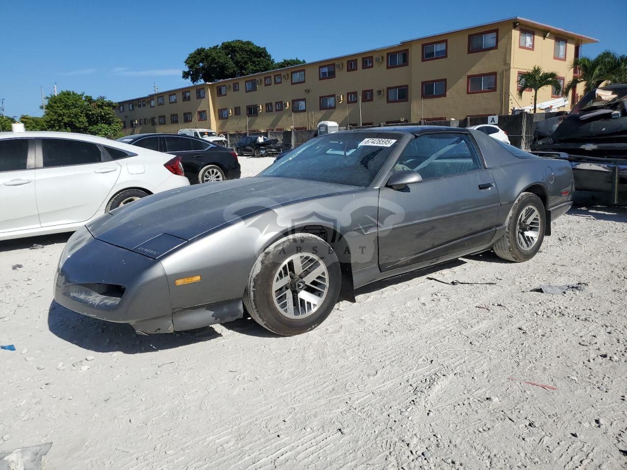 Pontiac Firebird 3.1L 6 1991