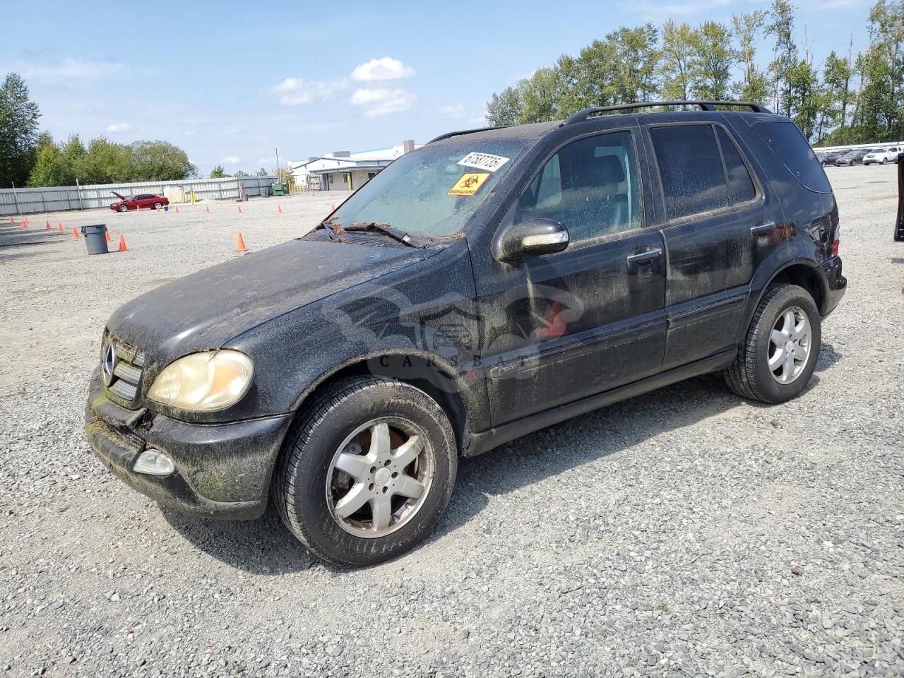 Mercedes-Benz ML 500 5.0L 8 2004