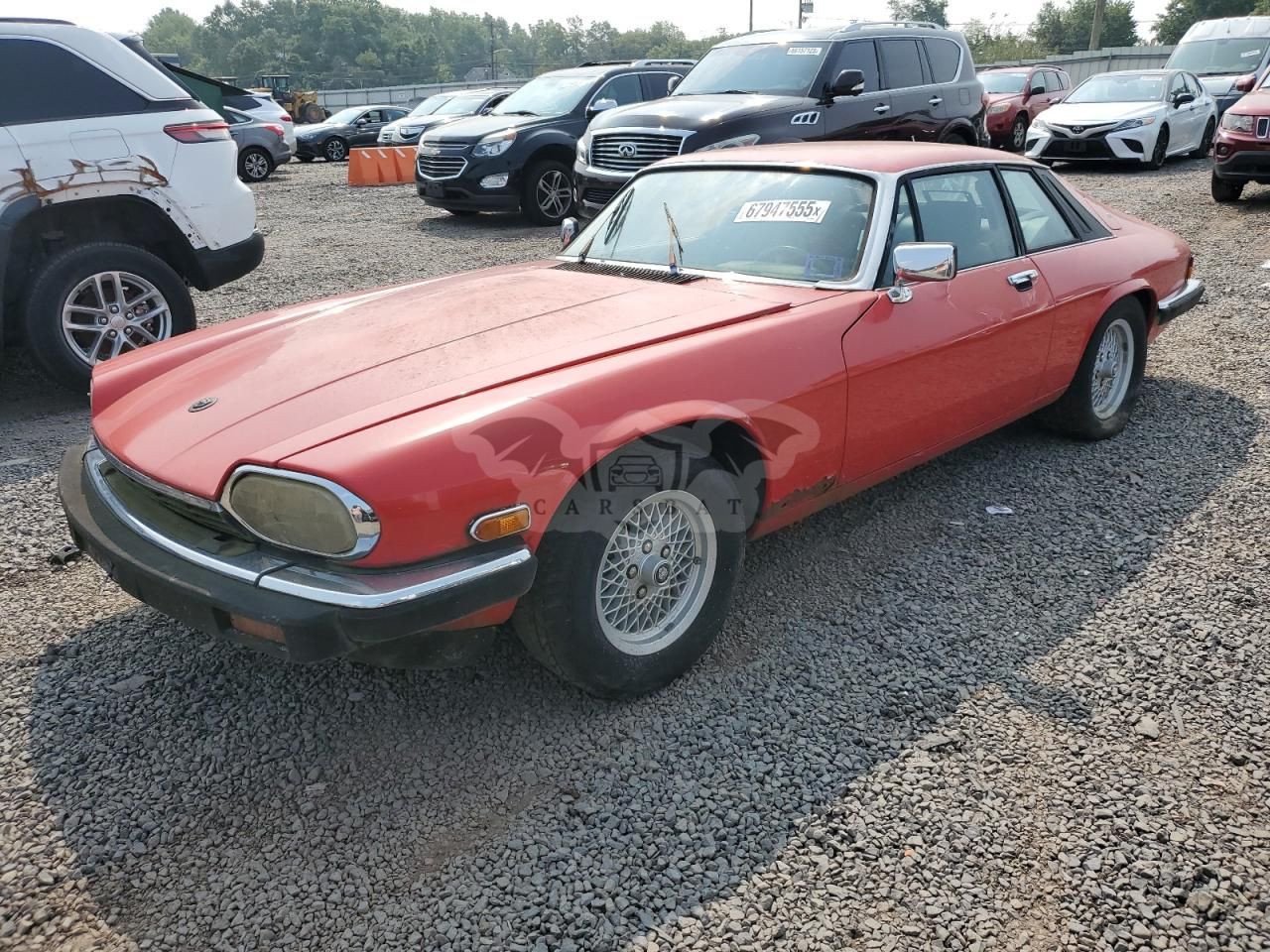 Jaguar XJS 5.3L 12 1989