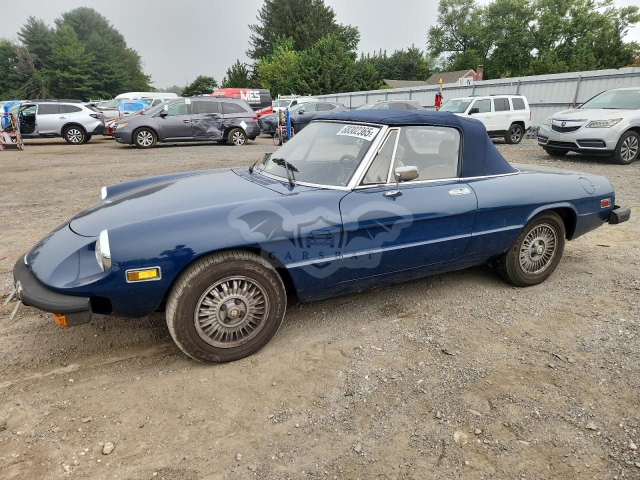 Alfa Romeo Spider 1977