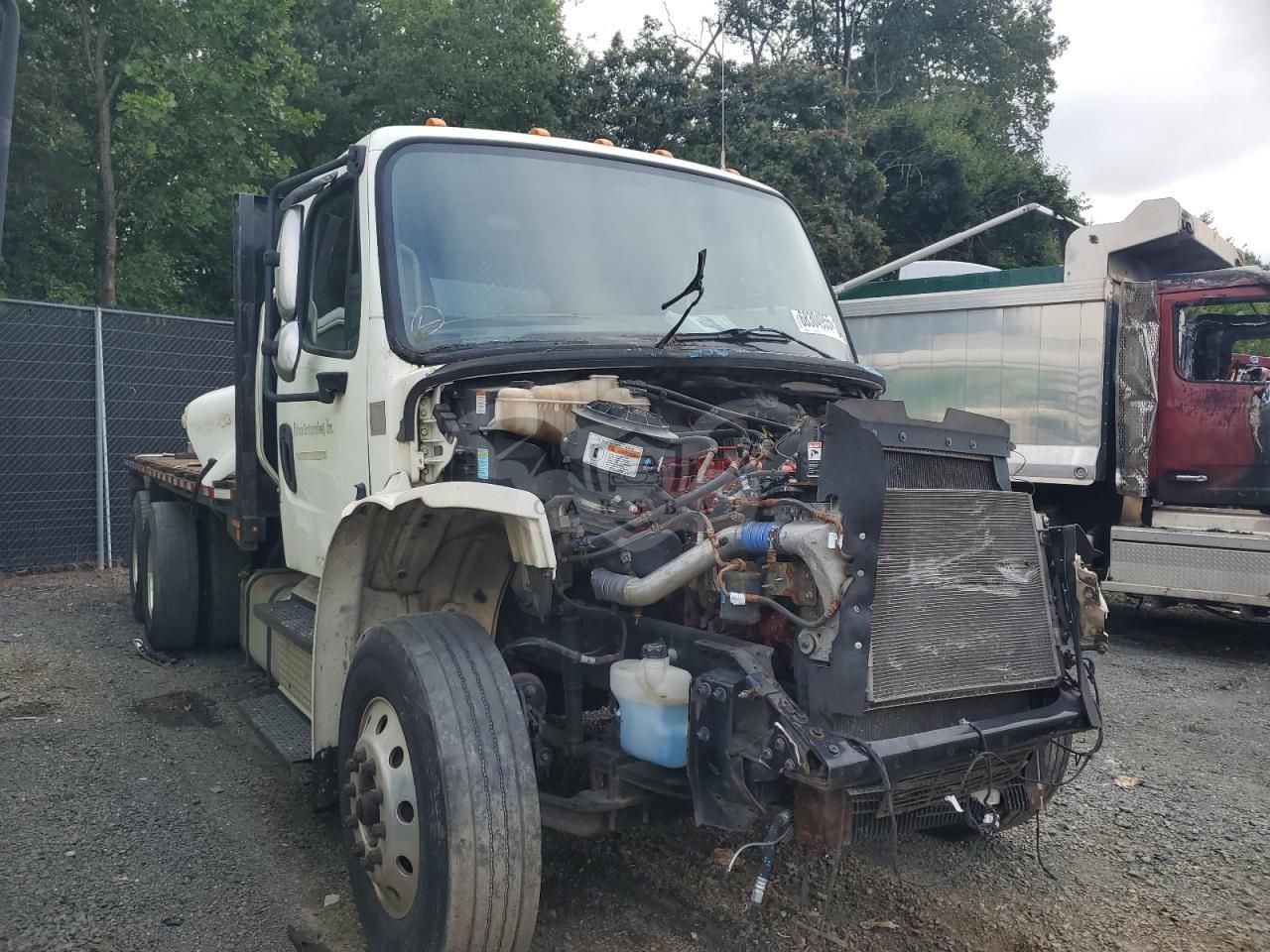 Freightliner Business Class M2 106 MEDIUM DUTY 9.0L 6 2019
