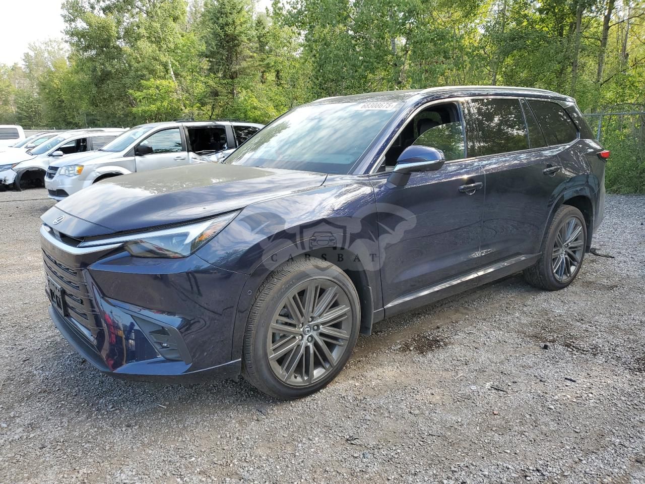 Lexus TX Series 350 BASE 2.4L 4 2024