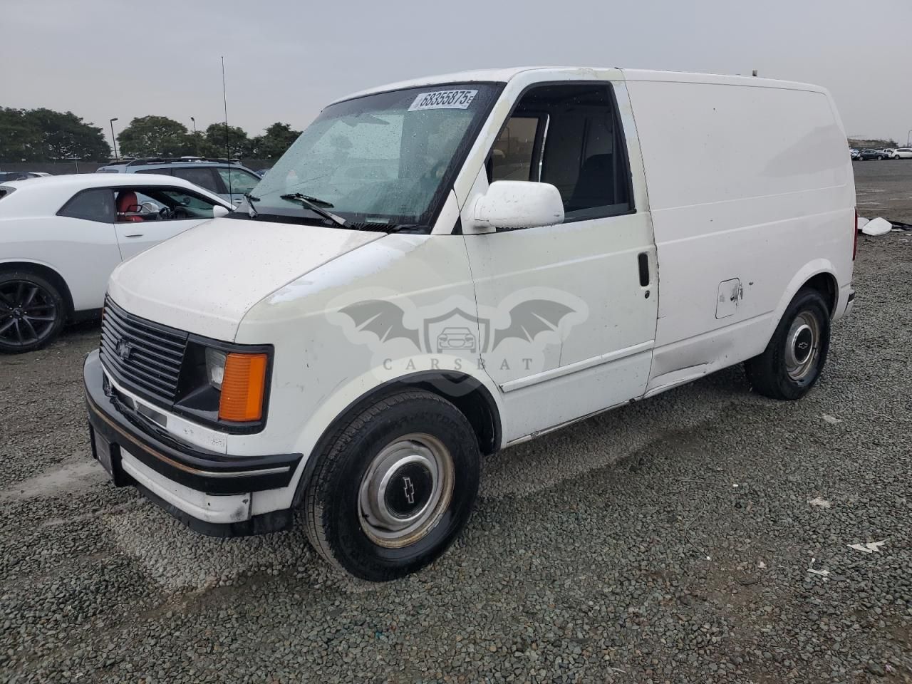 Chevrolet Astro 4.3L 6 1990