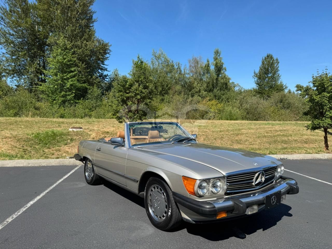 Mercedes-Benz SL SL 5.5L 8 1986