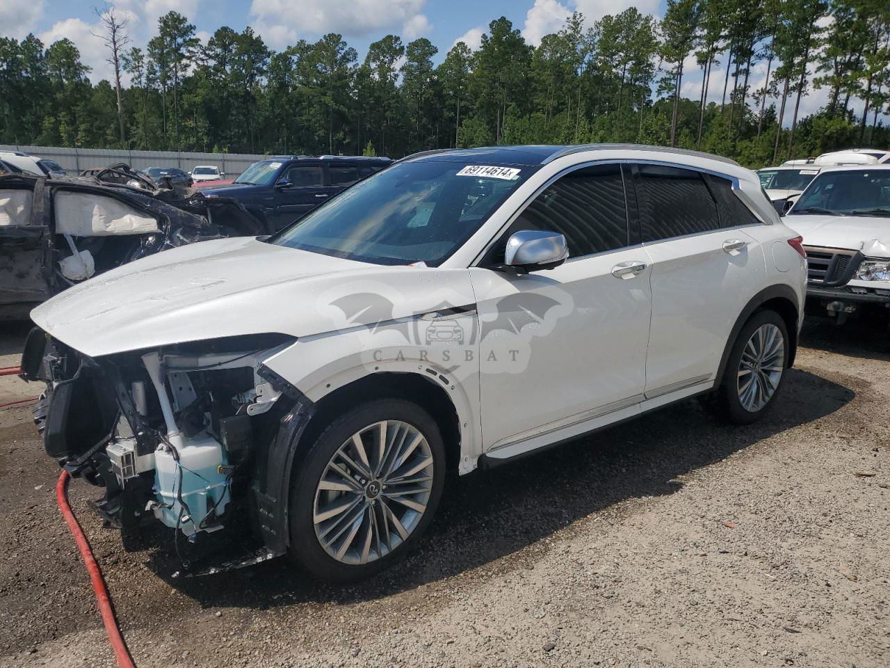 Infiniti QX50 2.0L  4 2024
