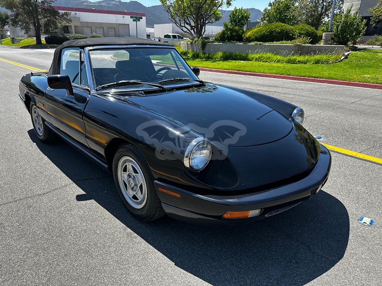 Alfa Romeo Spider 2.0L 4 1991