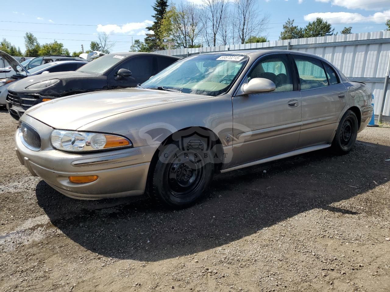 Buick LeSabre CUSTOM 3.8L 6 2004