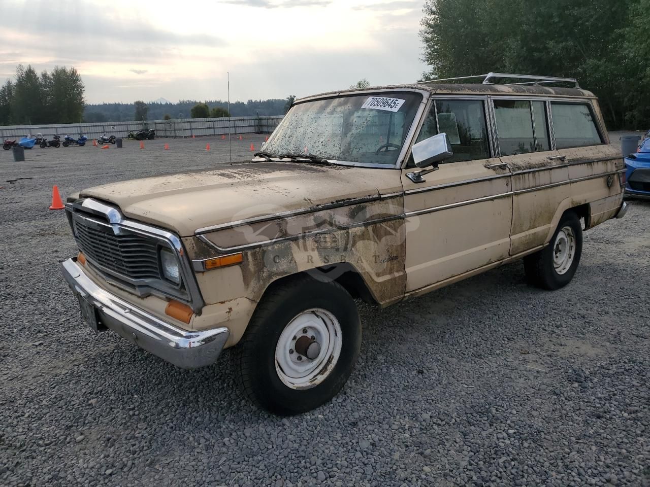 Jeep Wagoneer 1980