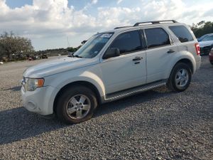 Ford Escape XLT 3.0L 6 2011