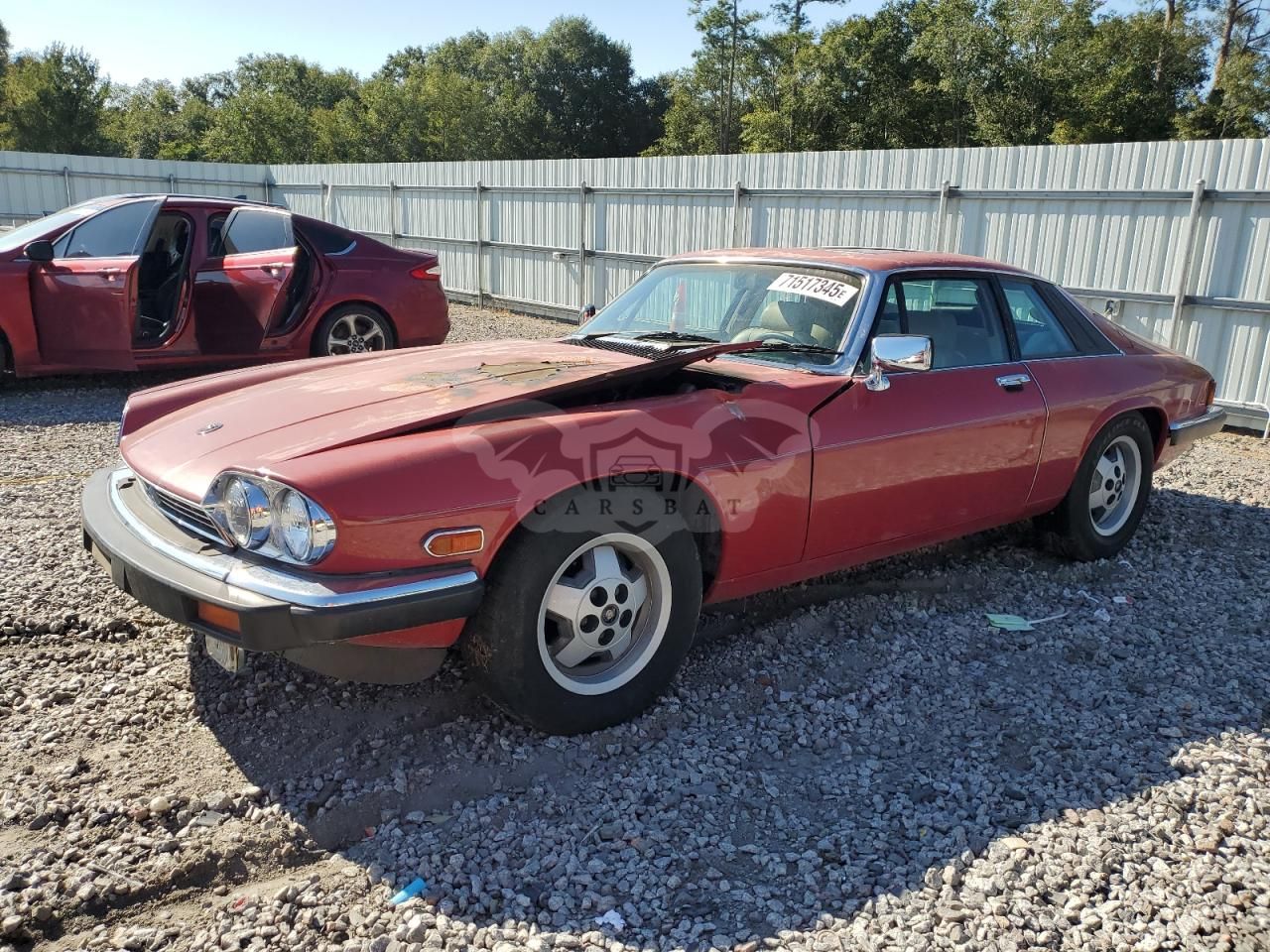 Jaguar XJS 5.3L 12 1988