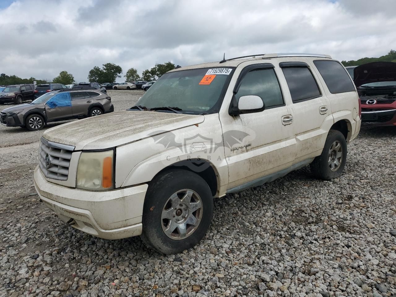 Cadillac Escalade LUXURY 6.0L 8 2003