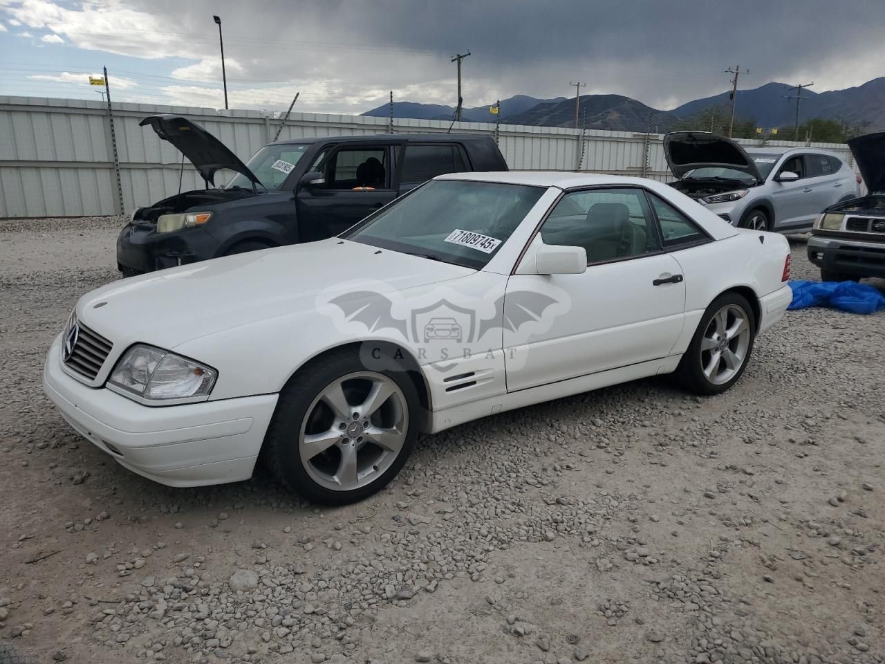 Mercedes-Benz SL 500 5.0L 8 1996