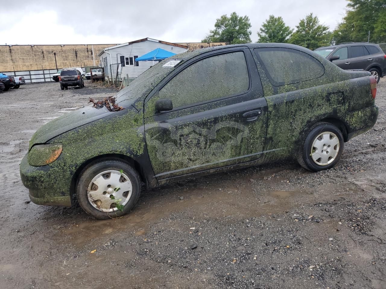 Toyota Echo 1.5L 4 2002