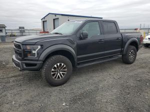 Ford F-150 RAPTOR 3.5L 6 2019