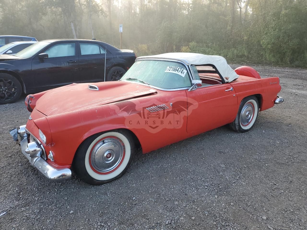 Ford Thunderbird 1956