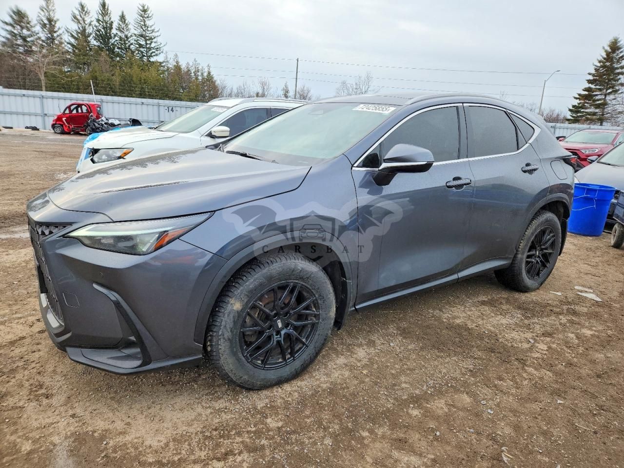 Lexus NX 350H BASE 2.5L 4 2024