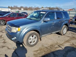 Ford Escape XLT 2.5L 4 2010