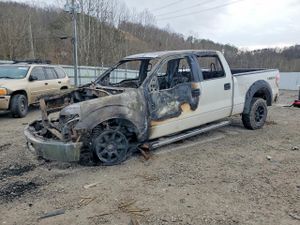 Ford F-150 4.6L 8 2010