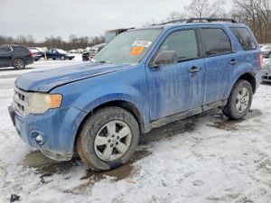 Ford Escape XLT 2.5L 4 2010