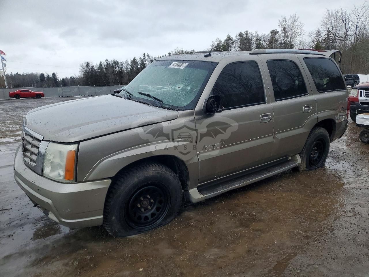 Cadillac Escalade LUXURY 6.0L 8 2003