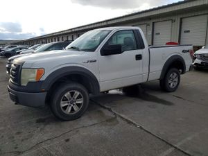 Ford F-150 4.6L 8 2009