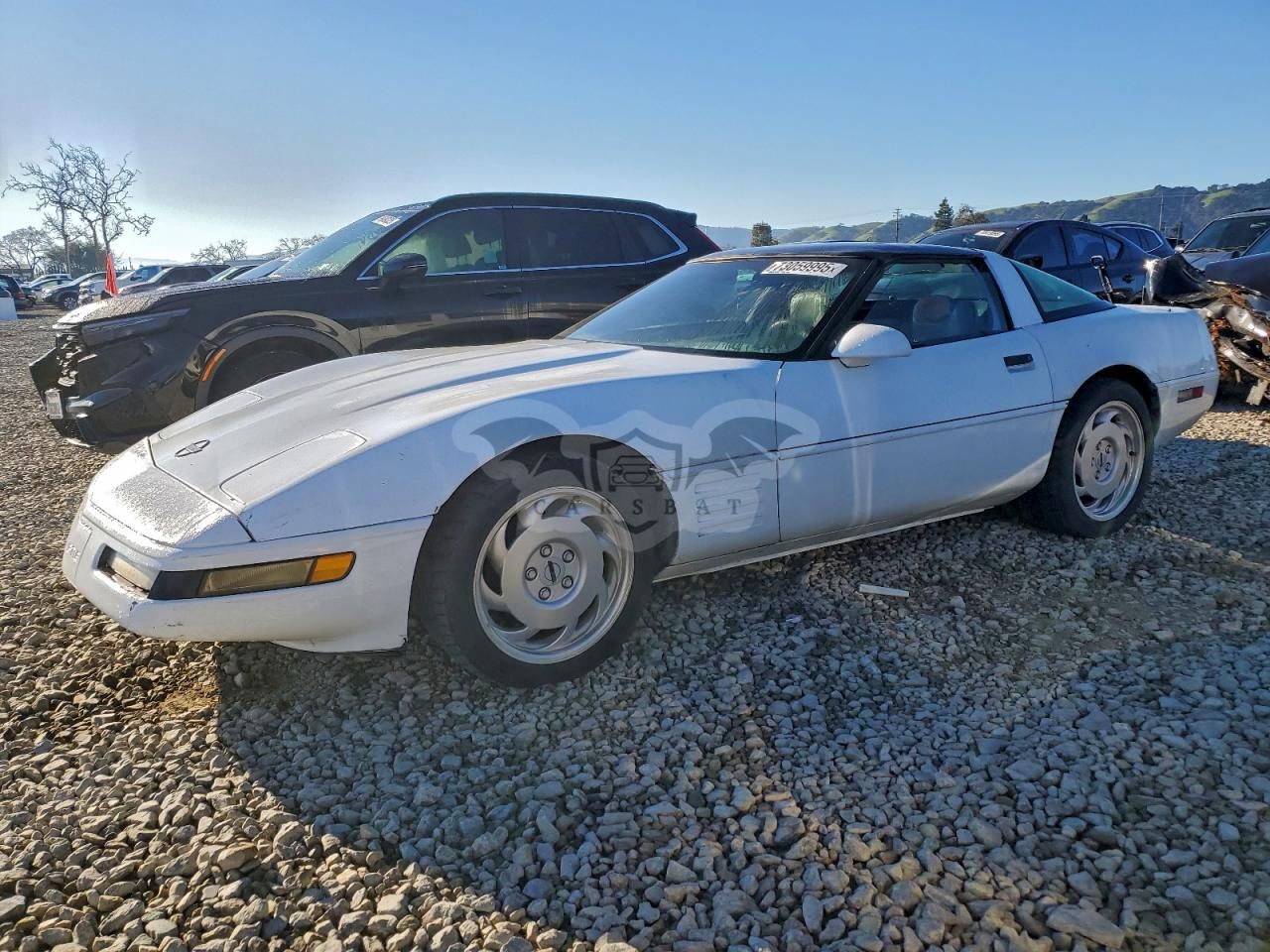 Chevrolet Corvette 5.7L 8 1992