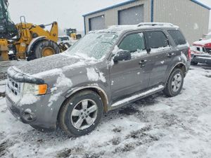 Ford Escape XLT 2.5L 4 2009