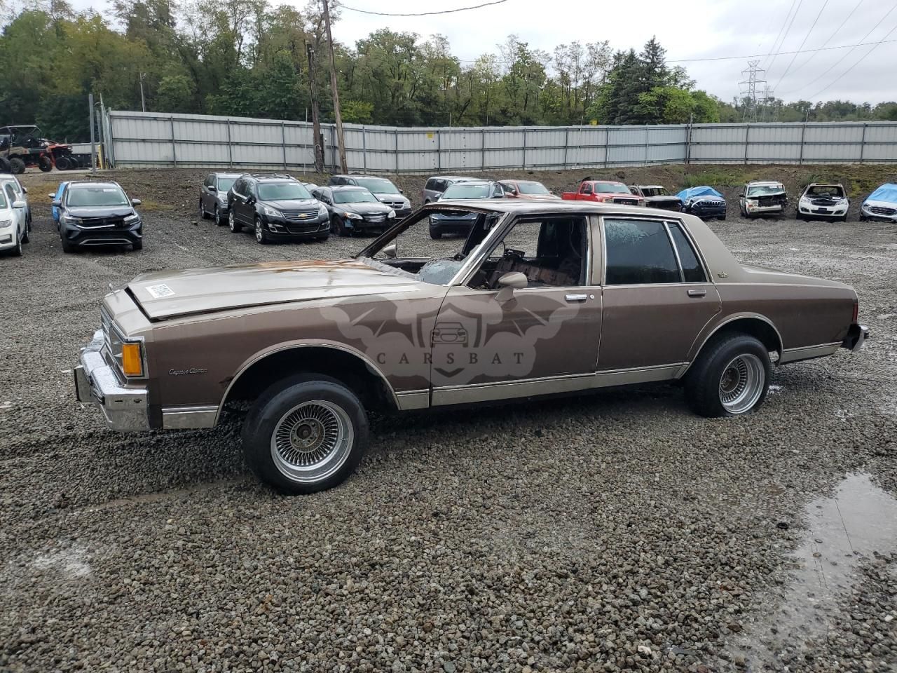 Chevrolet Caprice CLASSIC 5.0L 8 1983