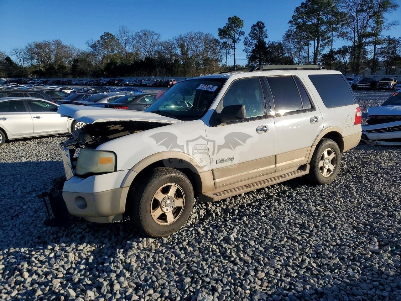 Ford Expedition EDDIE BAUER 5.4L 8 2007