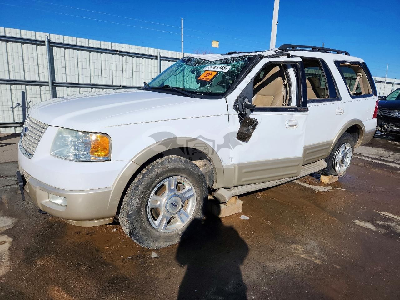 Ford Expedition EDDIE BAUER 5.4L 8 2006