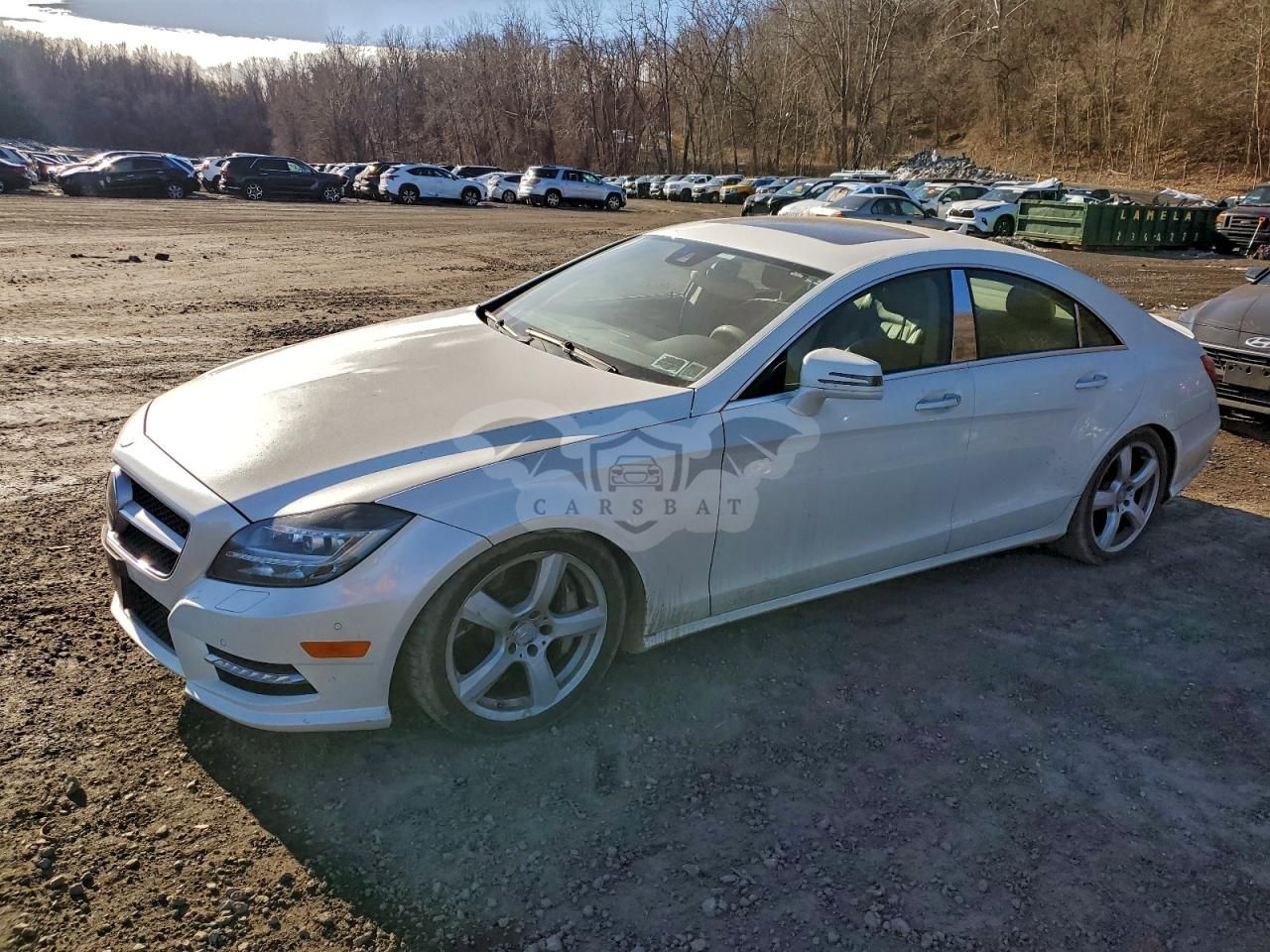 Mercedes-Benz CLS 550 4MATIC 4.6L 8 2014