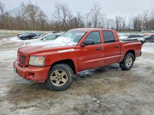 Dodge Dakota SPORT 4.7L 8 2008