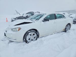 Chevrolet Malibu LS 2.4L 4 2011