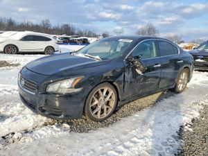 Nissan Maxima 3.5L 6 2010