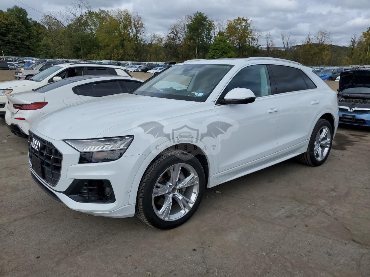 Audi Q8 3.0L 6 2023