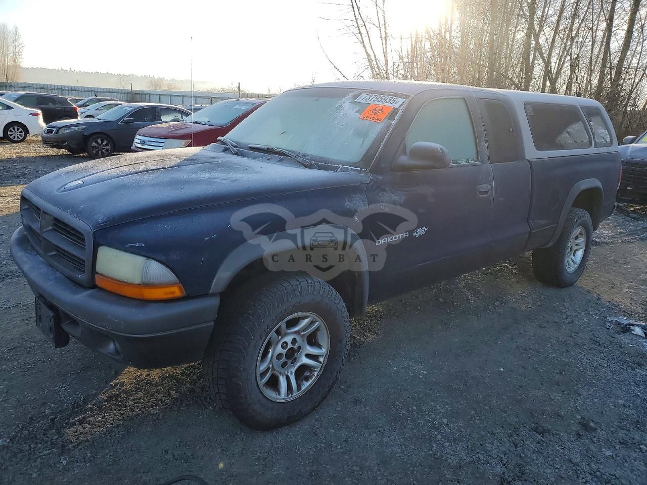 Dodge Dakota BASE 3.9L 6 2002