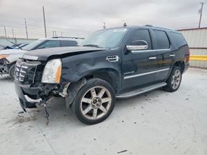 Cadillac Escalade LUXURY 6.2L 8 2010