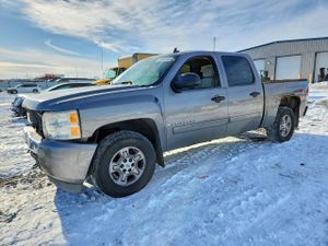 Chevrolet Silverado 1500 K1500 5.3L 8 2008