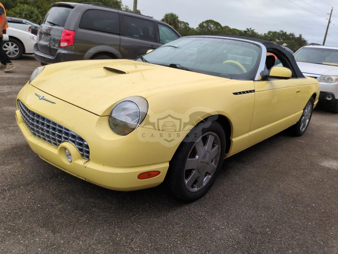 Ford Thunderbird 3.9L 8 2002