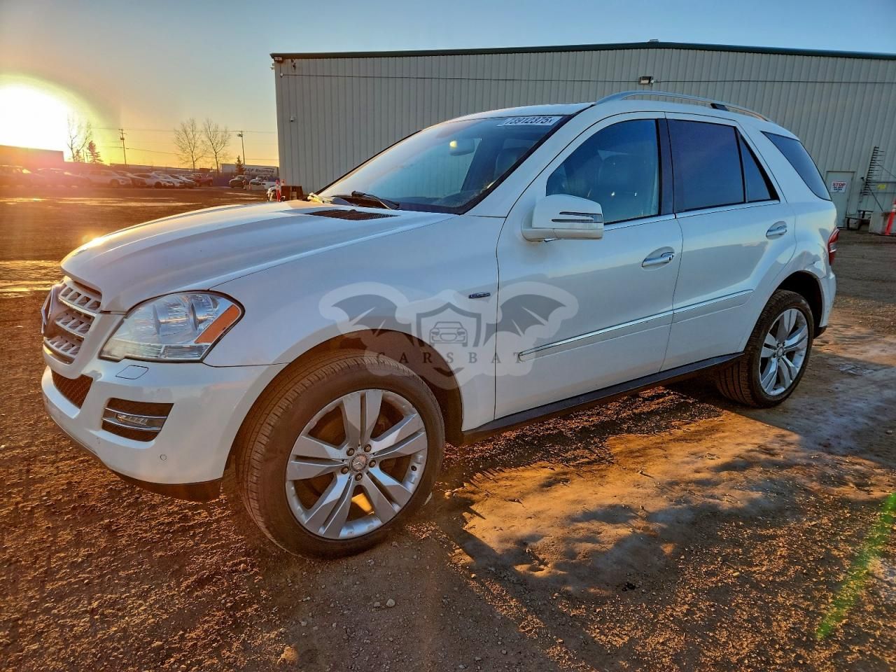 Mercedes-Benz ML 350 BLUETEC 3.0L 6 2011