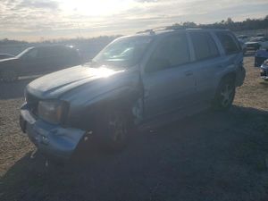 Chevrolet Trailblazer LS 4.2L 6 2006