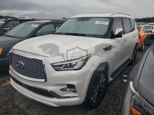 Infiniti QX80 SENSORY 5.6L  8 2024