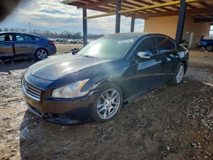 Nissan Maxima S 3.5L 6 2010