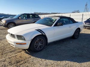 Ford Mustang 4.0L 6 2008