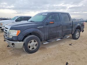 Ford F-150 SUPERCREW 5.0L 8 2014